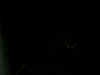 DSCN4179.JPG (213771 bytes)